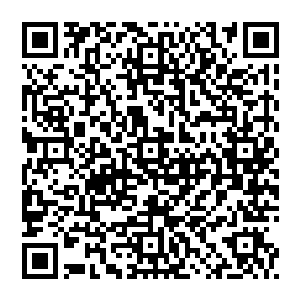 我多么想要跟他打声招呼……叫他一声爹爹……可师姐们却不让……却没有想到这竟是我最后一次见爹爹了……二维码生成