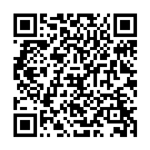 我大哥他可是在参加了你们枫林城的拍卖大会之后二维码生成