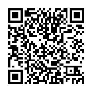 我天灵殿会亲自出面与那两家掌握八荒残图的家族商讨一下二维码生成