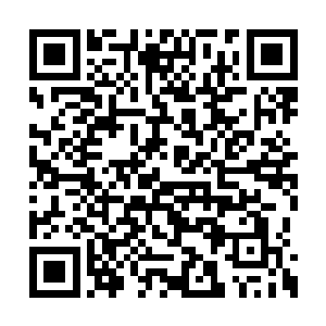 我娘确实没提过这些九头鸟图案可能是上古文字二维码生成