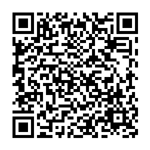 我安插在皇上身边偷听的那位宫女今日上午来跟我说了一件事……二维码生成