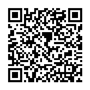 我宣布……现在……开始……大家可以随便吃随便喝二维码生成