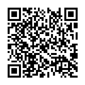 我害怕武英奇会设置什么感知微弱震动的警戒法宝二维码生成