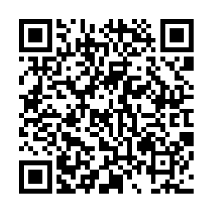 我将一些对离儿的感情都投注到了他的身上以寄托我的思念二维码生成