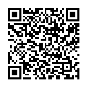 我就不再担任神圣冰岛王国与古神教中的任何职司二维码生成