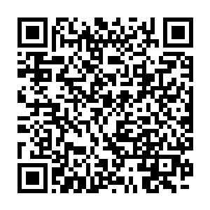我就吃了他们两个蛋这不假……但他们好几千人追杀我好几百万里路二维码生成