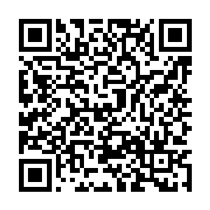 我就完全确定了真相――只要我说服自己一件事是二维码生成