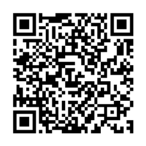 我就真没法解释了……天底下哪里有在皇宫大殿外种大树的道理二维码生成