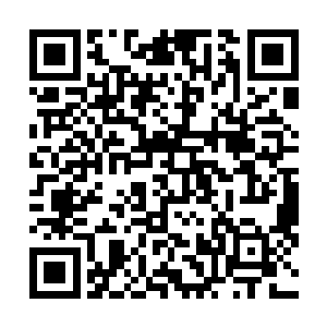 我就能推演出人类文明古往今来的一切变化和每一个细节二维码生成