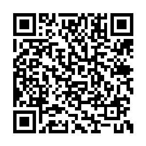 我就这个问题安排政法委专门出了一期政法简讯二维码生成