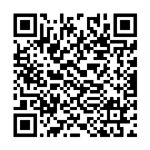 我已经不在乎你会不会将我身上的女巫印记激活了二维码生成