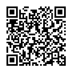 我已经为暗星族炼制了差不多五万五千多颗上等神王丹二维码生成