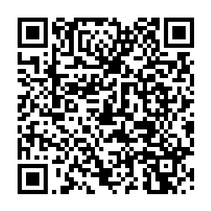 我已经邀请了包括nbc电视台记者在内的几家媒体一个小时后对你进行采访二维码生成