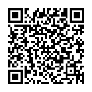 我希望在座的各位要好好组织各自分管的部门单位二维码生成