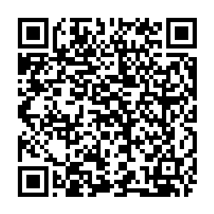我希望杰克逊先生能够把所有会诊过的医生名字以及他们的诊断结果给我一份二维码生成