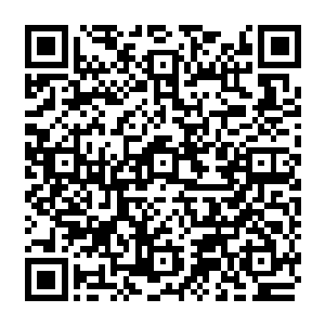 我希望能够在一个月内将青火宗化神老祖青炎和东方神机宗化神老祖杨木森解决掉二维码生成