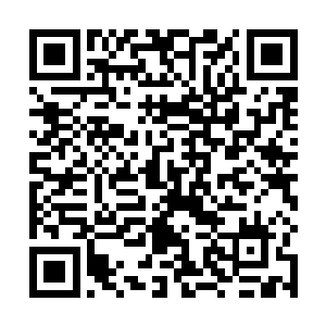 我并不着急得到一个结果――我会把他们关上三五个月二维码生成