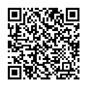 我建议你主动向志虎书记汇报一下你们政法整体工作情况二维码生成