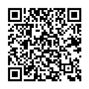 我当时应该和断水界主还有凌云界主一起回去的二维码生成