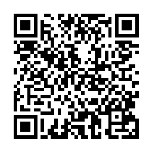 我很想看看那个一直暗中盯着我们的家伙到底是什么样子二维码生成