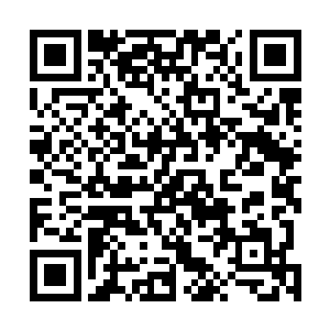 我怀疑夏侯家是不是已经建立了一套庞大的法印对比体系二维码生成