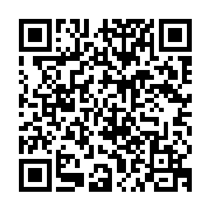 我怀疑这二十几个混混会莫名其妙的对付警察也是陈晓刀安排的二维码生成