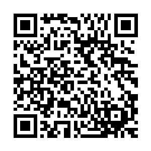 我想你的确应该好好琢磨一下到底该怎么表现出我想要的效果了二维码生成