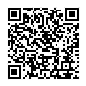 我想我们或许可以在那里找到很多已灭绝种族的纯净基因片段二维码生成