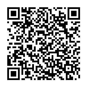 我想现在最关键的是根据孙传河交代的线索继续把案子查下去才是关键二维码生成