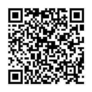 我想神殿长老会不再追究你们杀我天灵殿两名长老的事情二维码生成