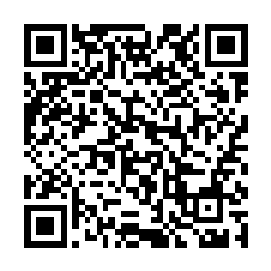 我想这也是墨休染能够获得九重天门掌门倾心的缘故二维码生成