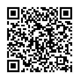 我感受到了一股股新生的力量在我的身体中不断的翻滚二维码生成