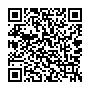 我手指在那强大修复之力下几秒钟伤口便愈合了二维码生成