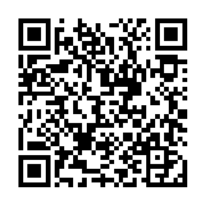 我才特意把你带到这里来看上一看――这就是白修的家二维码生成