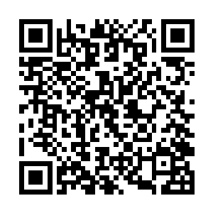 我才真正看到这几集的线索与大纲达成一致时的状况二维码生成