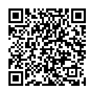 我打算下种以后把家里的麦草稻草全给拉到地里去覆盖上去二维码生成