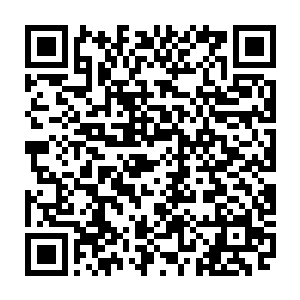 我打算成立一个推进玄学界修行体系研究发展发展玄学界实力的非盈利基金会二维码生成