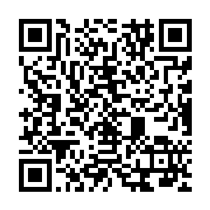 我承认虽然说你的实力比起一般的顶级神顶峰的高手强大的太多二维码生成