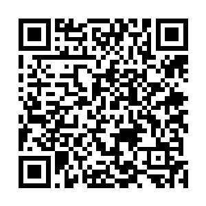 我把这小家伙去我们那里坚持不了两天就嚷嚷着要离开了二维码生成