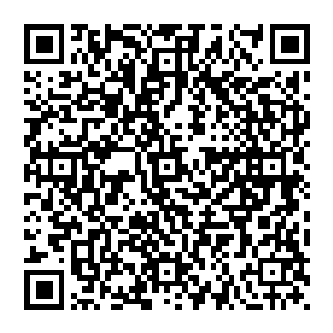 我抢到的朱雀全都寄放在她的异次元里没办法活物必须要在大帝的异次元中才能生存并且还逃不出去二维码生成