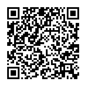 我拿眼大概数了一下胖妞最先结好找结的数量的结与结之间的距离二维码生成