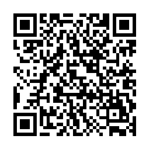 我指挥着大师爷哆哆嗦嗦地用一只手挨排把铁笼子的锁打开后二维码生成