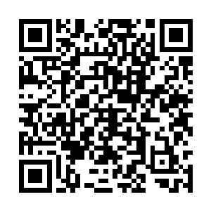 我接过了他手上已经沾满了血的一枚一块钱的硬币二维码生成
