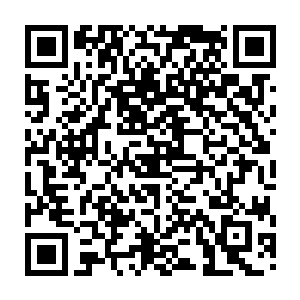 我接连两天晚上都没有在那原来遭遇守林人地方等到守林人和阵法的再次显现二维码生成