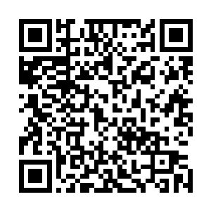 我方才还在和几位其他联盟的道友商谈这次巫妖离去的事情二维码生成