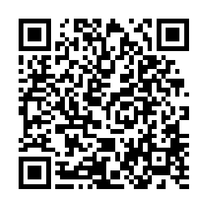 我明显在感应到有一股力量顺着血海向着我体内不断涌动着二维码生成