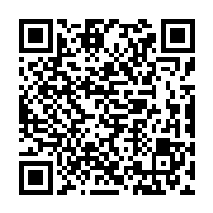 我明白了……以后我指定长记性……给姑娘惹了祸二维码生成