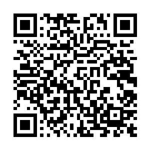 我是不是为了增加可信度还要去伪造个癌症报告什么的啊二维码生成