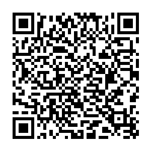 我是亲眼看到你在赌宝的那里以极其低廉的价格买到了一滴大巫精血二维码生成