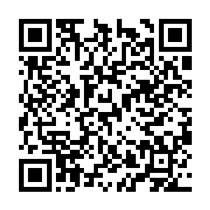 我是排在第一的……最难听的一句话就是在长白山二维码生成
